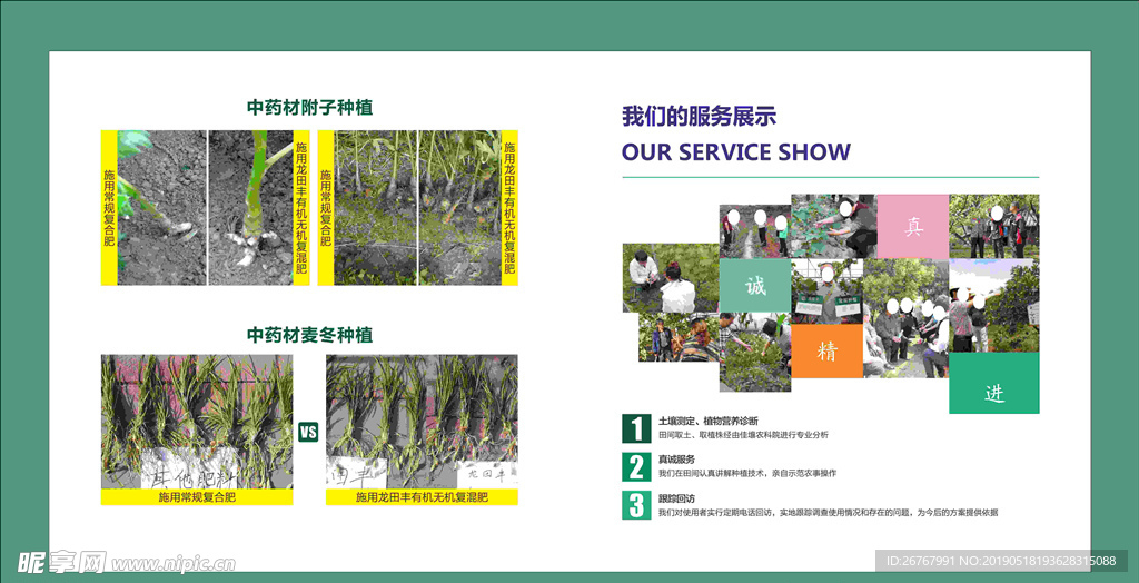中药材子种植