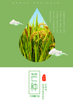 芒种海报