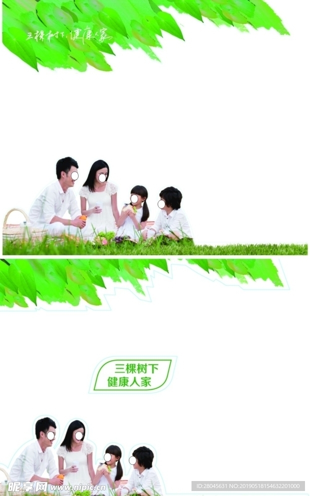 三棵树橱窗单透贴