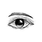 手绘眼睛