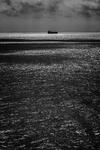大海