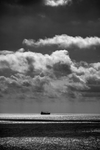 大海