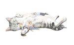 懒散的咖啡猫插图
