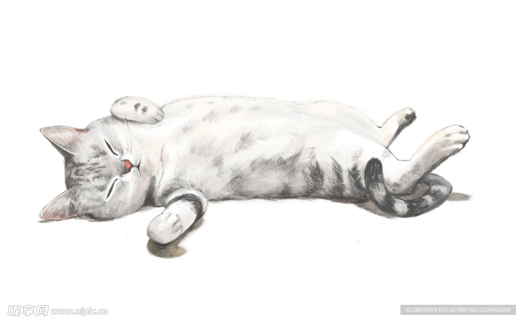 懒散猫插图