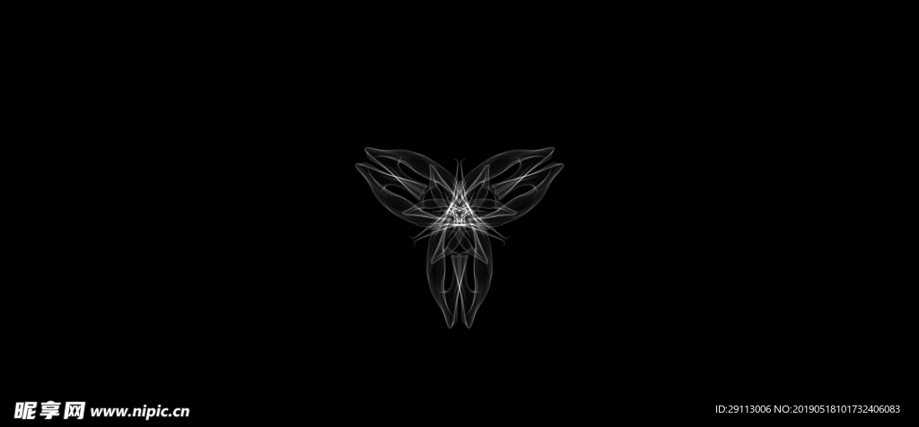 光影幻花
