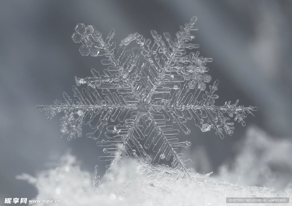 雪花