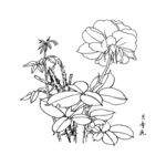 月季花