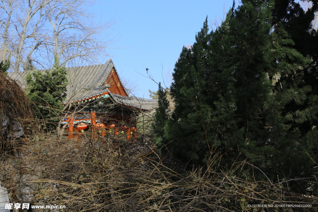 冬日风景