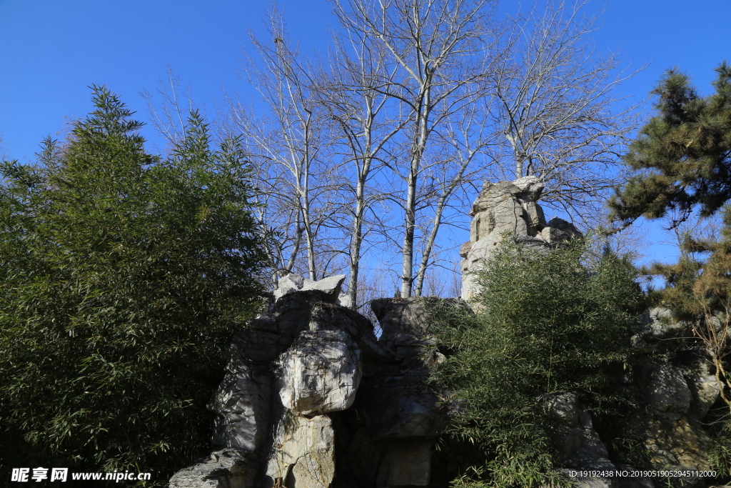 冬日风景