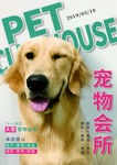 宠物单页