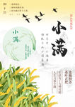 小满
