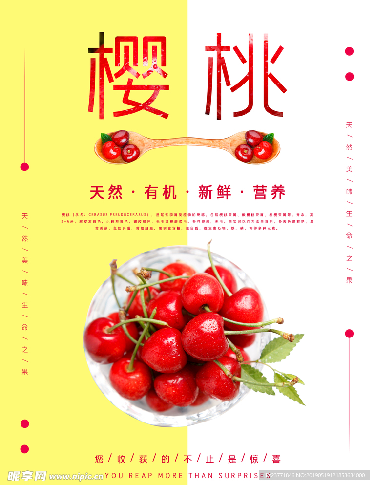 樱桃
