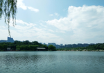 园林湖水