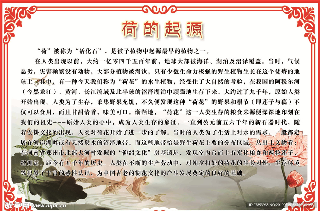 荷花