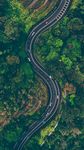 自然森林   公路