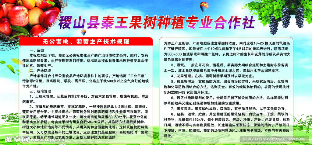 果树专业合作社喷绘版面桃子葡萄