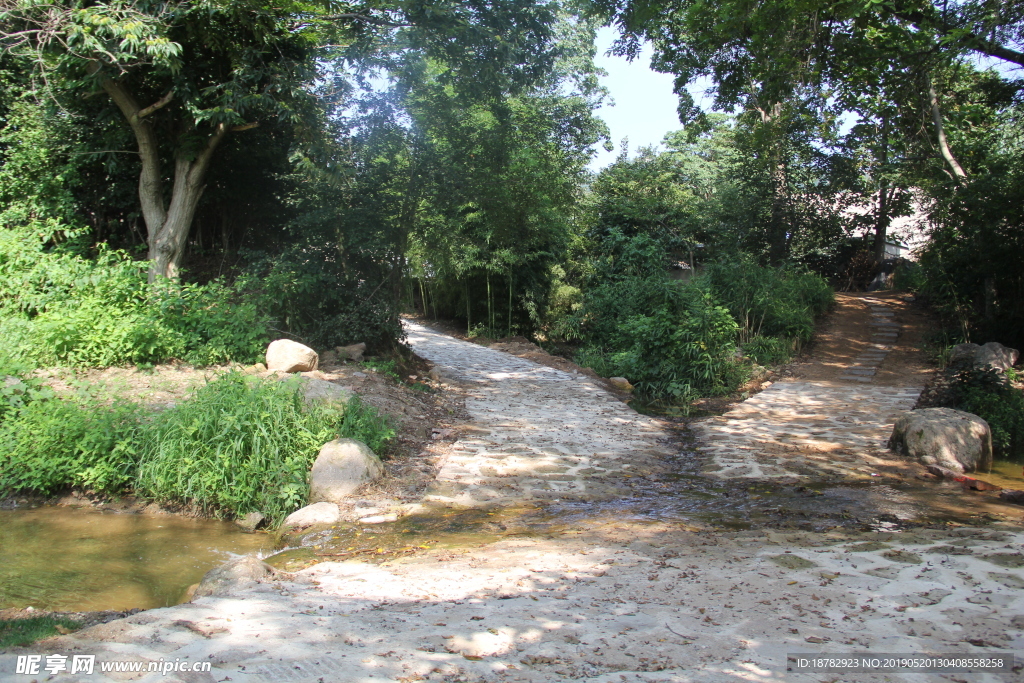 山东省美丽乡村宁津街道留村小路