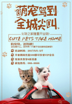 宠物店广告