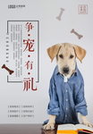 宠物店广告