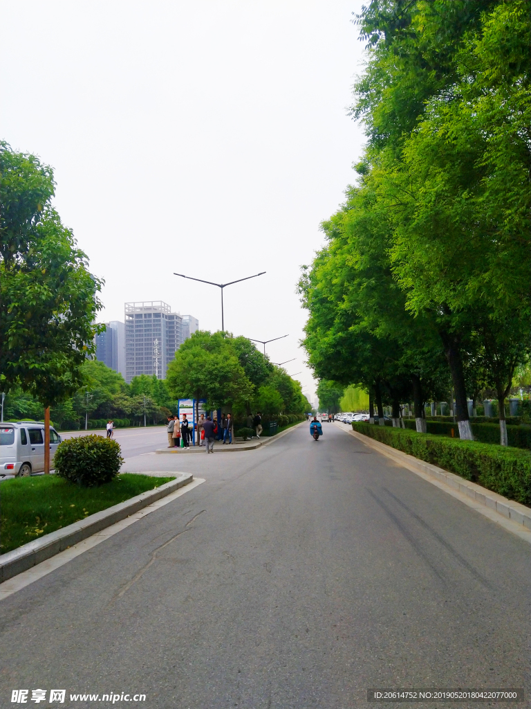美丽的道路风景
