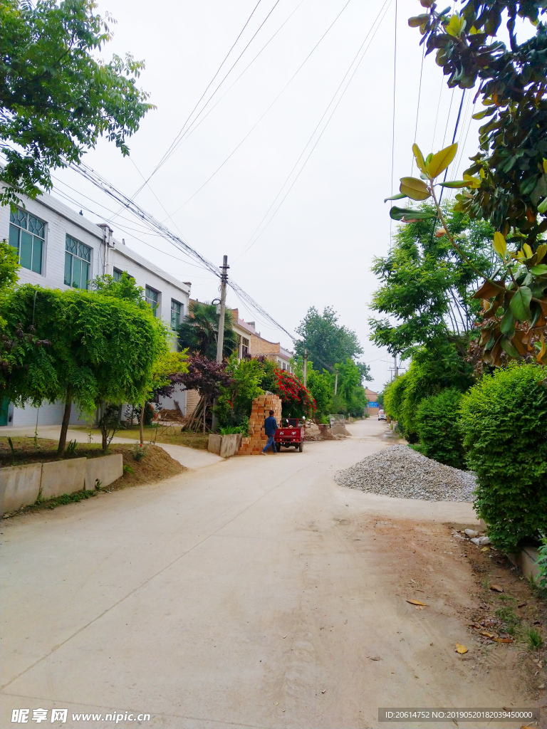 乡村道路风景