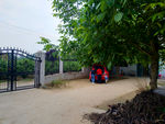 乡村庭院