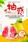 柚子海报