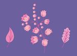 花纹