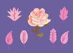 花纹