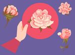 花纹