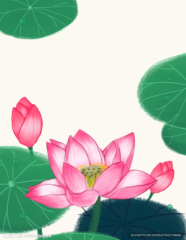 荷花背景