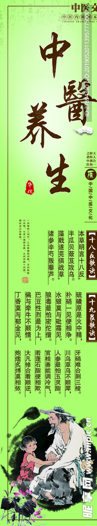 中医养生文化18反19畏海报