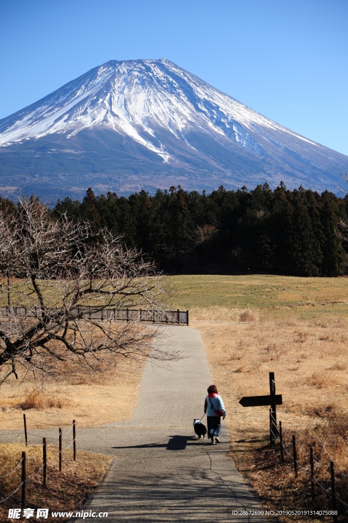 山