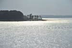 海洋