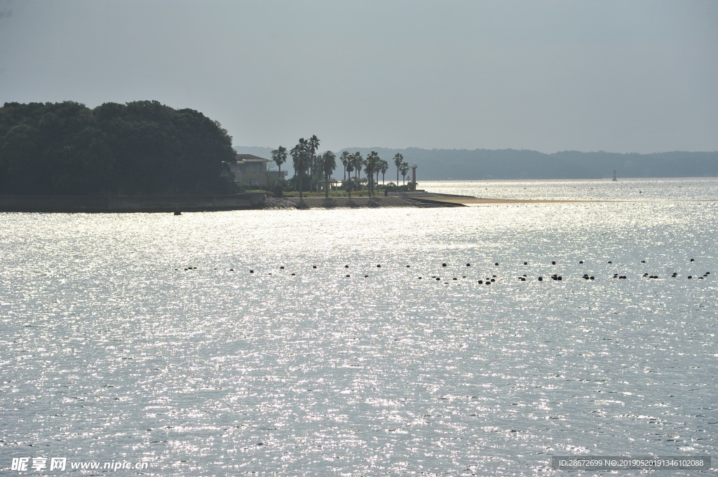 海洋