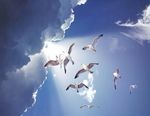 天空合成图片