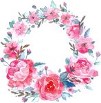 玫瑰花