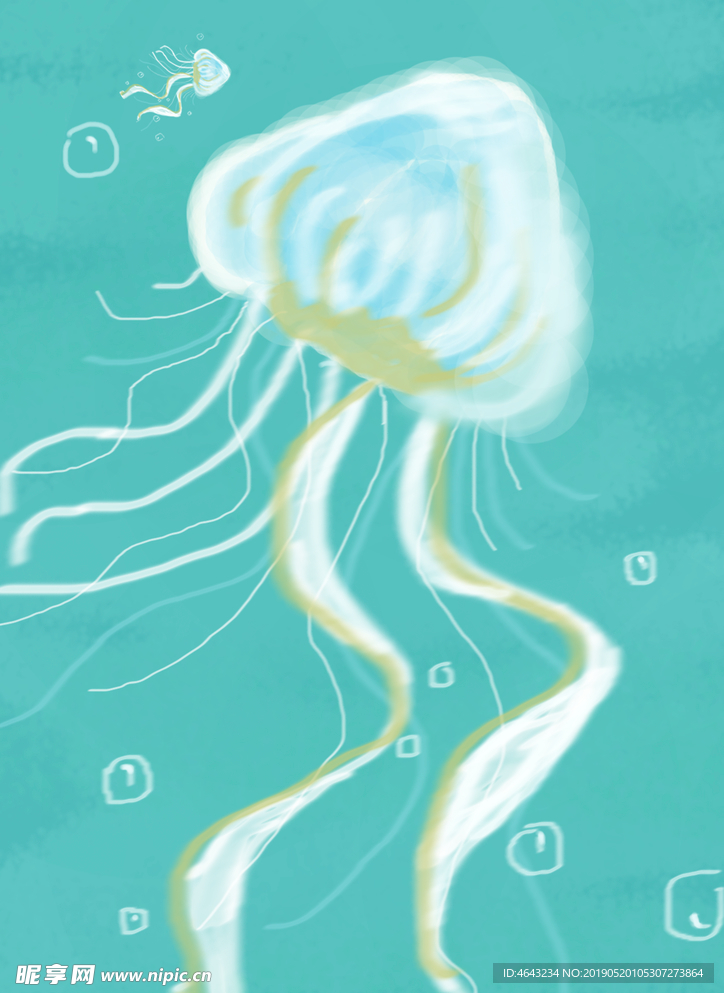 水母