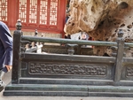 护栏