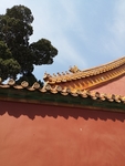 风景