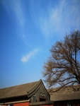 风景