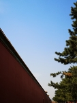 风景
