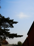 风景