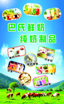 巴氏鲜奶 纯奶制品