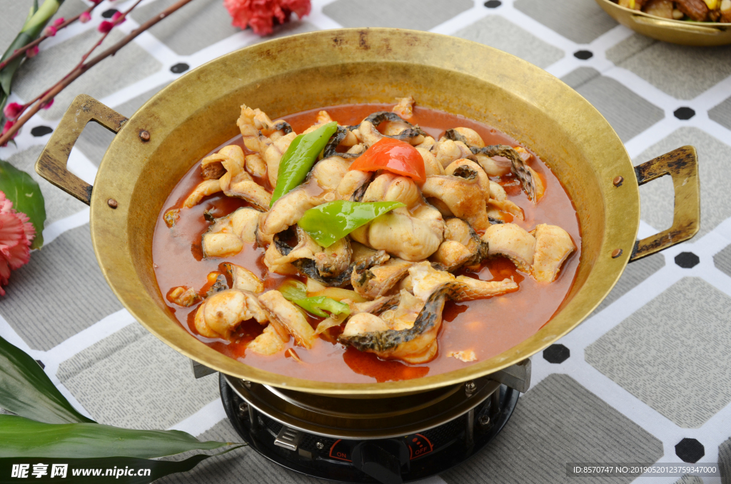 荆沙财鱼