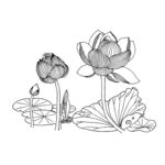 花卉