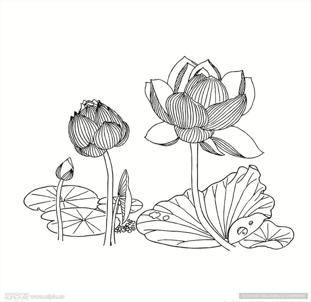 花卉