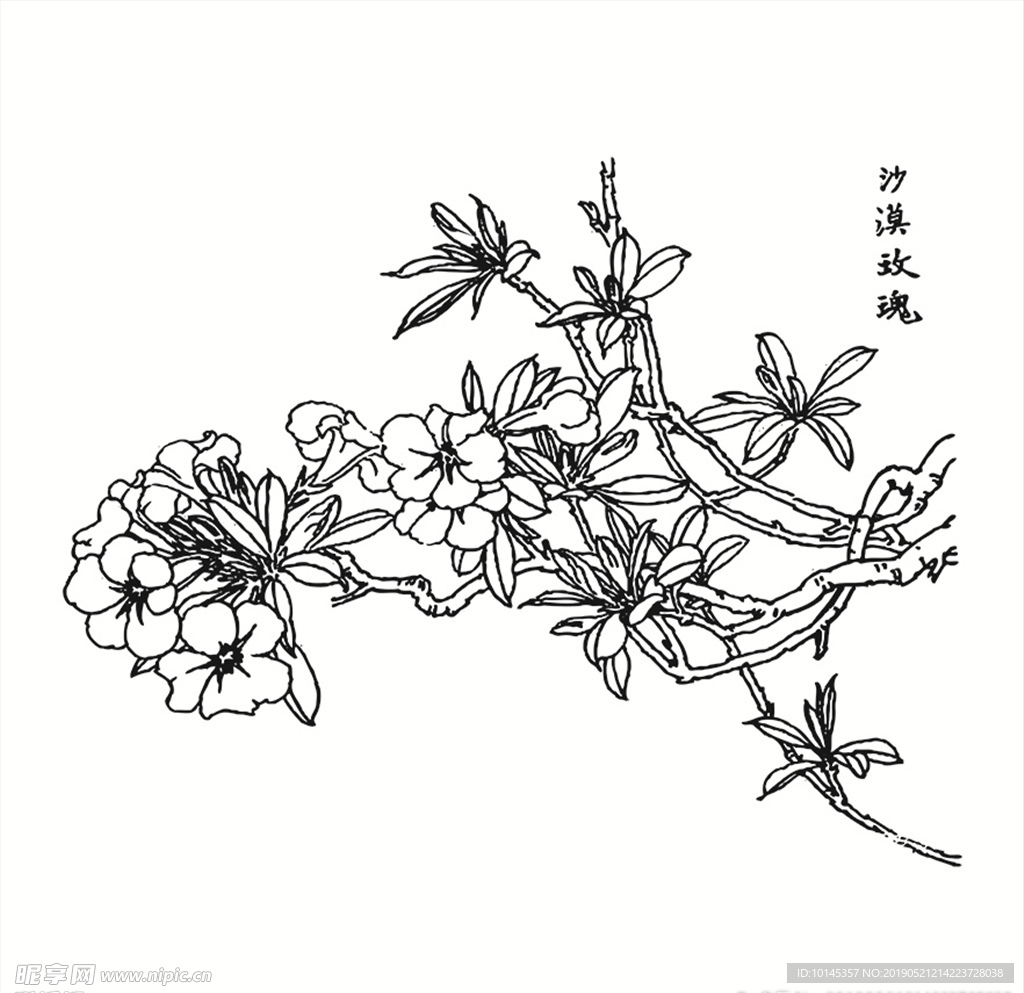 沙漠玫瑰