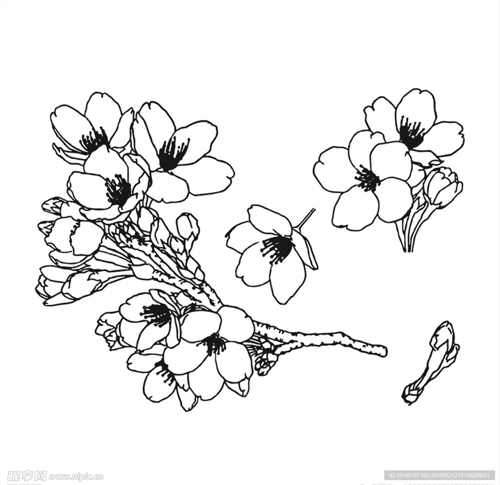 花卉