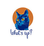 蓝猫